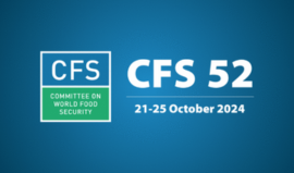 52.ª Sessão do Comité de Segurança Alimentar Mundial (CFS) da FAO